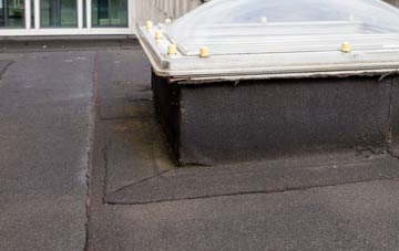 disadvantages of Heol Ddu flat roofs